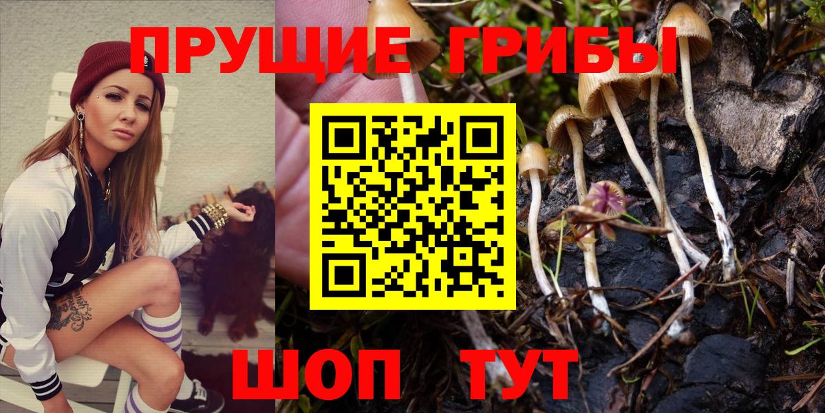 Октябрьский  Псилоцибиновые грибы Psilocybe  Вход с VPN 