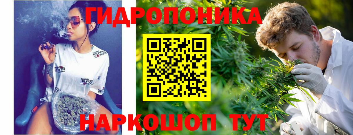 Конопля AK-47  Марихуана план  Октябрьский  Вход с VPN  МАРИХУАНА White Widow 
